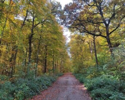 Rollstuhlwandern in Baden Württemberg