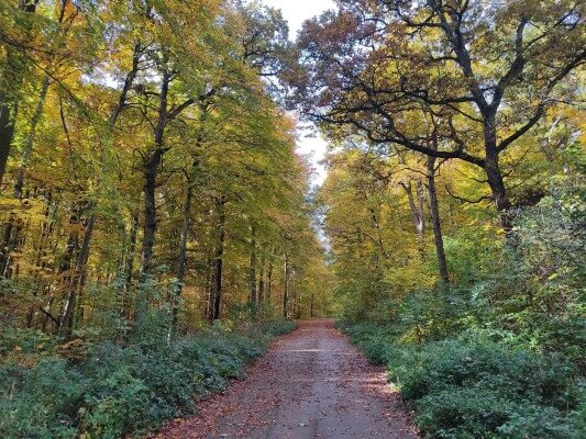 Rollstuhlwandern in Baden Württemberg