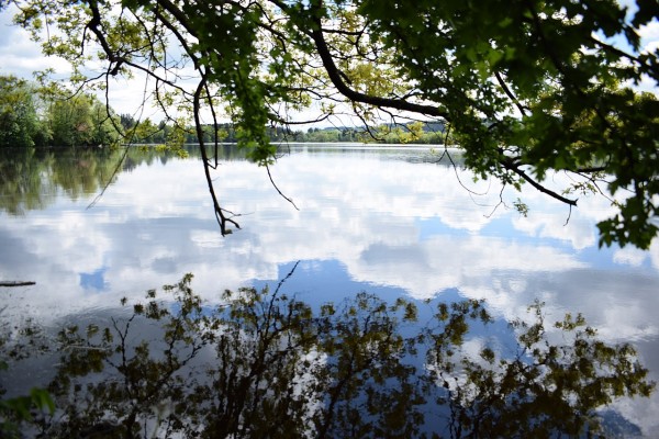 Rollstuhlwandern in Baden Württemberg