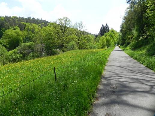 Rollstuhlwandern in Baden Württemberg